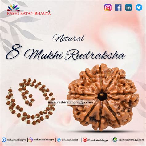 Buy Certified Mukhi Rudraksha Online In India Mukhi Rudraksha