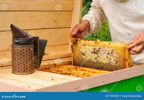 L Apiculteur Sort Du Nid D Abeilles De Ruche Rempli Du Miel Frais Photo