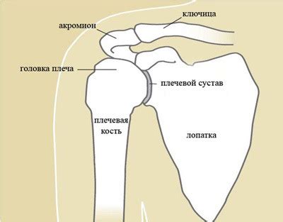 Растяжение связок плечевого сустава: лечение, симптомы