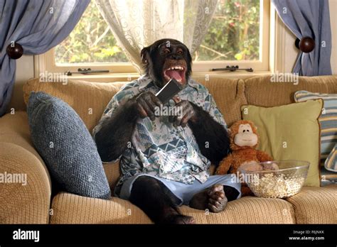 Funky Monkey Stock Photos & Funky Monkey Stock Images - Alamy