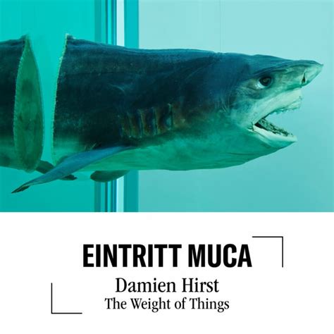 Okt Dez Eintritt Muca Damien Hirst The Weight Of Things Muca Webshop