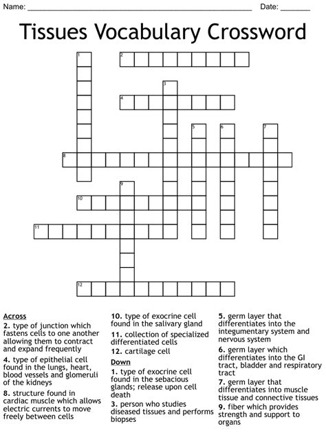 Tissues Vocabulary Crossword Wordmint