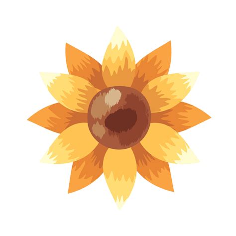 sunflower garden plant 13908132 Vector Art at Vecteezy