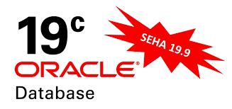 Alta Disponibilidade No Oracle Standard Edition 19c Oracle SEHA