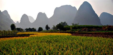 China's Rural Challenges - Qin Xiaoying - CHINA US Focus