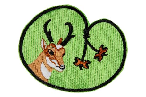 Wood Badge — Eagle Peak Store