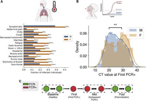 Study Explores Sex Differences In The Effects Of Sars Cov 2 In Young Adults