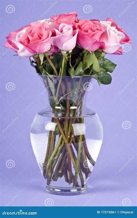 Bouquet Of Pink Roses In A Glass Vase Stock Image Image Of Colored