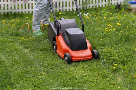 How Much Does A Lawn Mower Weigh Crabgrasslawn