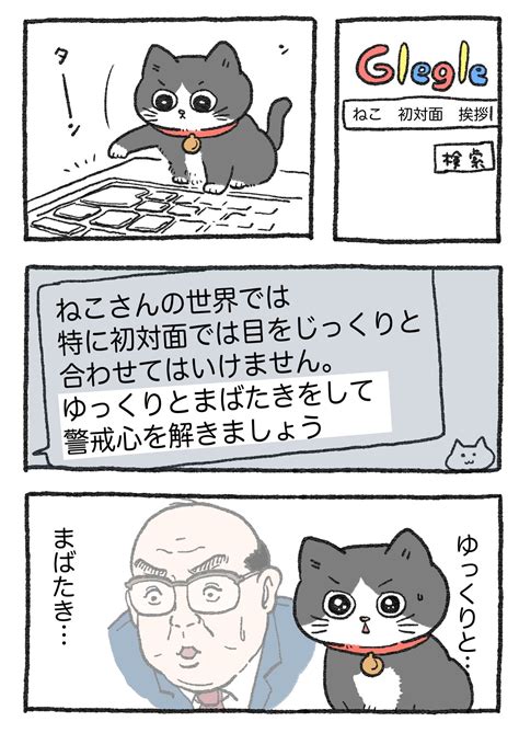 Twitterで話題の猫漫画『ねこに転生したおじさん』 作者やじまさんが語る制作の裏話｜ねこナビ