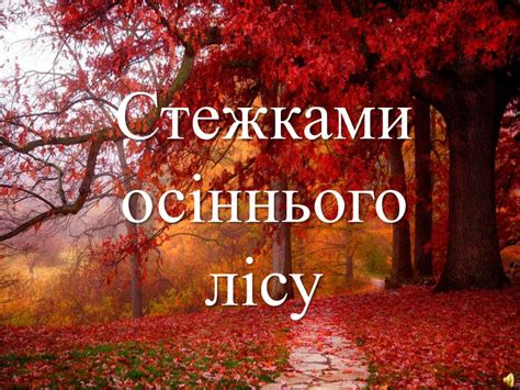 Презентація "Стежками осіннього лісу"