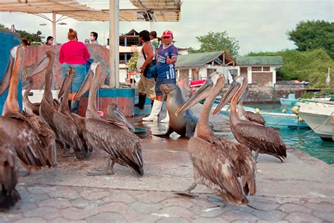 The Islands | Galápagos Conservancy