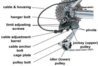 Derailleur Adjustment Your Step Guide To Getting Your Bike To Shift