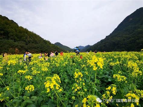 石门国家森林公园本月23日恢复对外开放！并对全国医护人员实行免票入园游玩 新闻资讯 广州市石门国家森林公园