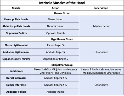 Module 32: Upper Extremity IV – Wrist and Hand – Anatomy 337 eReader