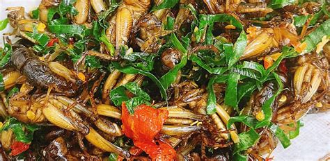 Crispy Cricket Dishes Not For Faint Hearted