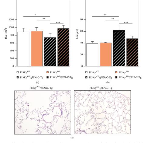 Figure From Genetic Deletion And Pharmacological Inhibition Of Pi K