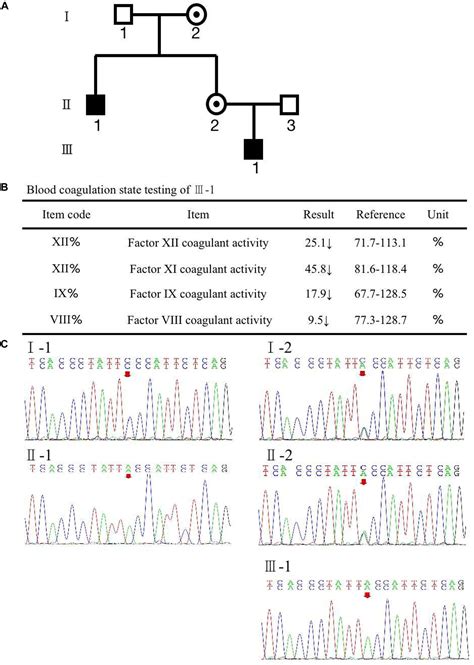 Hemophilia Gene Mutation