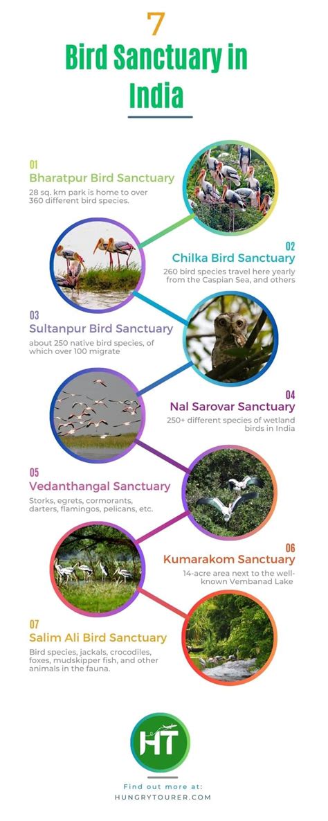 7+ Bird Sanctuary in India Quenching Ornithology: Must Visit