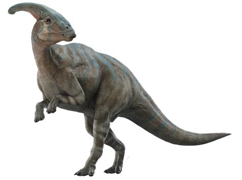 Parasaurolophus Wikia Jurassic Park Fandom