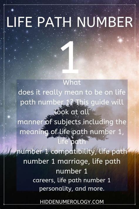 Numerology Life Path Number Meaning Silopedeep