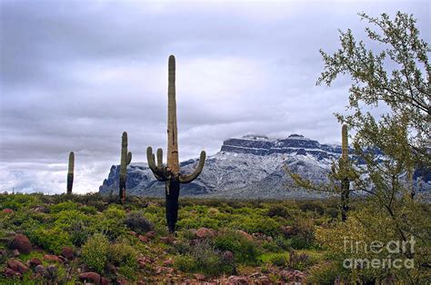 Superstition Mountain Snow Photograph By Brian Lambert