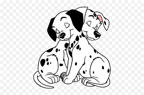 Why Are Dalmatians Black And White