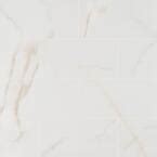 Msi Pietra Calacatta In X In Matte Porcelain Marble Look Floor