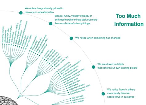 Cognitieve Biases Complete Lijst Van Biases Off