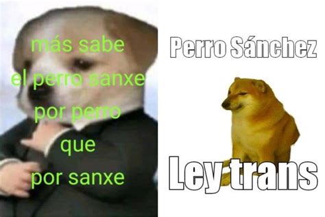 Lobos Con Frases Origen Del Meme Descubra a emoção do jogo no pg slot game