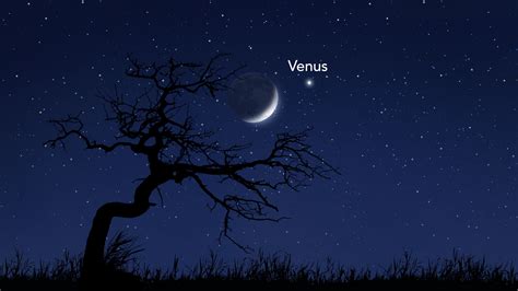 The Moon And Venus Grace The Sky When And How To See The Brightest