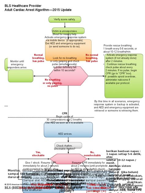 Bls Adult Cardiac Arrest Algorithm 2015 Update Pdf Cardiopulmonary Resuscitation Emergency