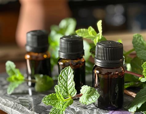 Top Essential Oils That Repel Bugs Naturally Pest Czar