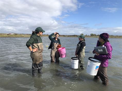 What Does The Invasion At Lummi Mean For The Salish Sea Washington