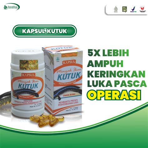 Jual Obat Penyembuh Luka Pasca Oprasi Minyak Ikan Kutuk Gabus Ekstrak