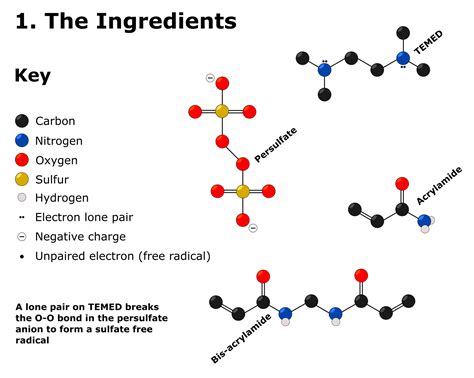 Polyacrylamide Gel Recipe Dna Dandk Organizer