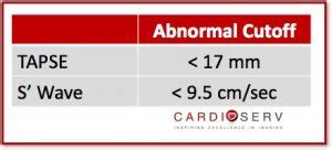 Tips To Correct Rv Function Assessment With Tapse S Wave Cardioserv