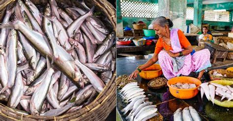 12 Best Fish Markets In Delhi A List 2024 So Delhi