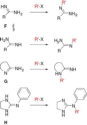 Regioselective Alkylation Of Ambident Amidine And Guanidine