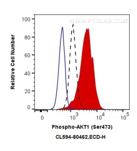 Phospho Akt Ser Rabbit Anti Human Mouse Coralite Clone