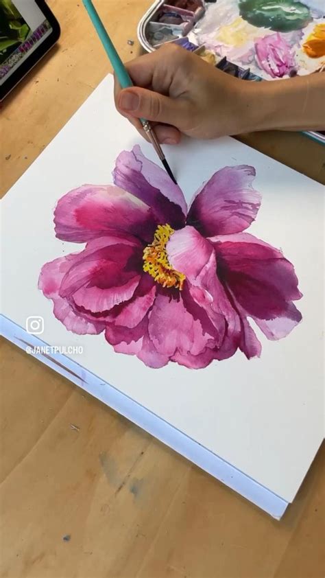 Watercolor Peony Masterclass With Janet Pulcho