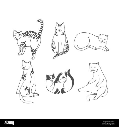 Vector Linear Illustration Set Of Adorable Catsn In Different Poses Sleeping Stretching Itself