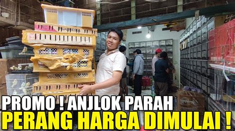 SRDC 10 RIBU PARKIT 10 RIBU MURAI BATU 380 RIBU JUALNYA ASAL LAKU