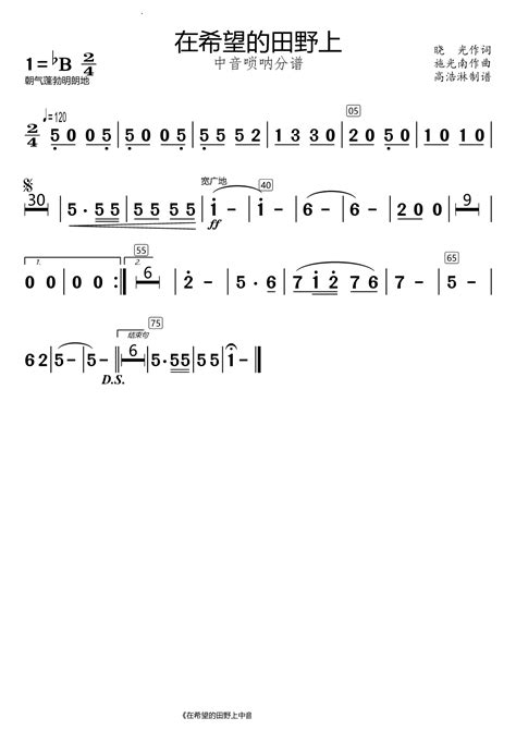 在希望的田野上中音唢呐 分谱 唢呐谱 总谱 五线谱