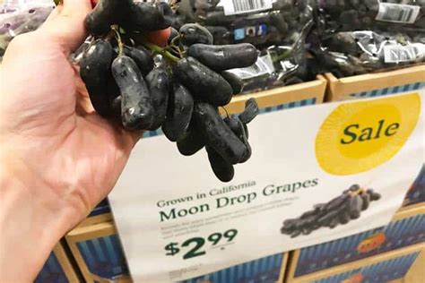 What Are Moon Drop Grapes? Not What You Think – Superfoodly