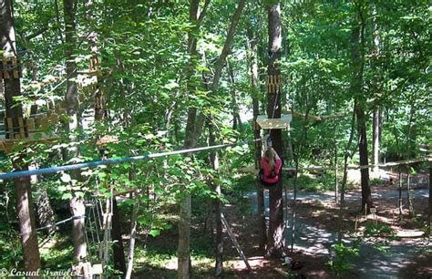 Treetop thrills at the Adventure Park in Virginia Beach - Casual Travelist