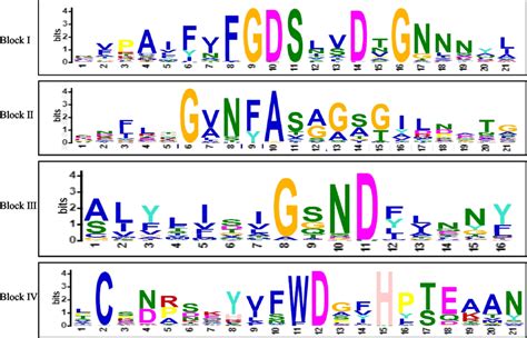 Motif Logos Of Four Conservative Blocks Were Detected In GhirGDSL