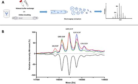 A Schematic Workflow Of MS Native Approaches B Deconvoluted Native