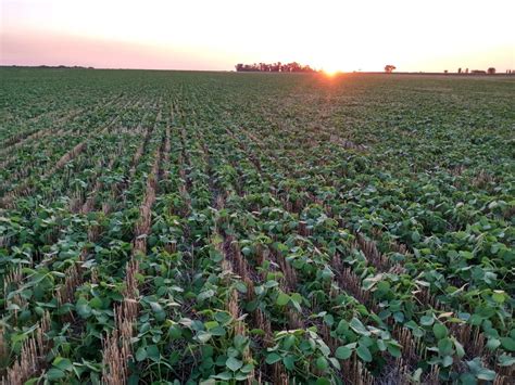 La Productividad Del Agro Depende Hasta En Un Del Agua Argentina