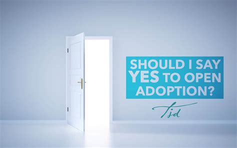 Adoption Attorney Florida Specializing In Adoption Tammi J Driver